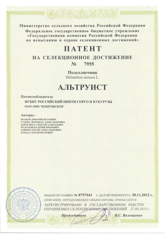 7955 Патент подсолнечник Альтруист-1